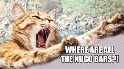 How to Buy NuGo Bars