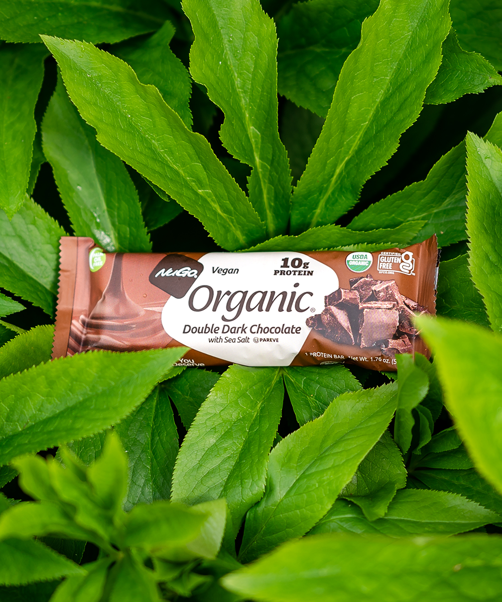 A wrapped NuGo Organic Double Dark Chocolate Bar with Leaves on background